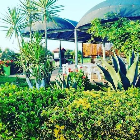 La Tenuta Del Passero Le Ferriere エクステリア 写真